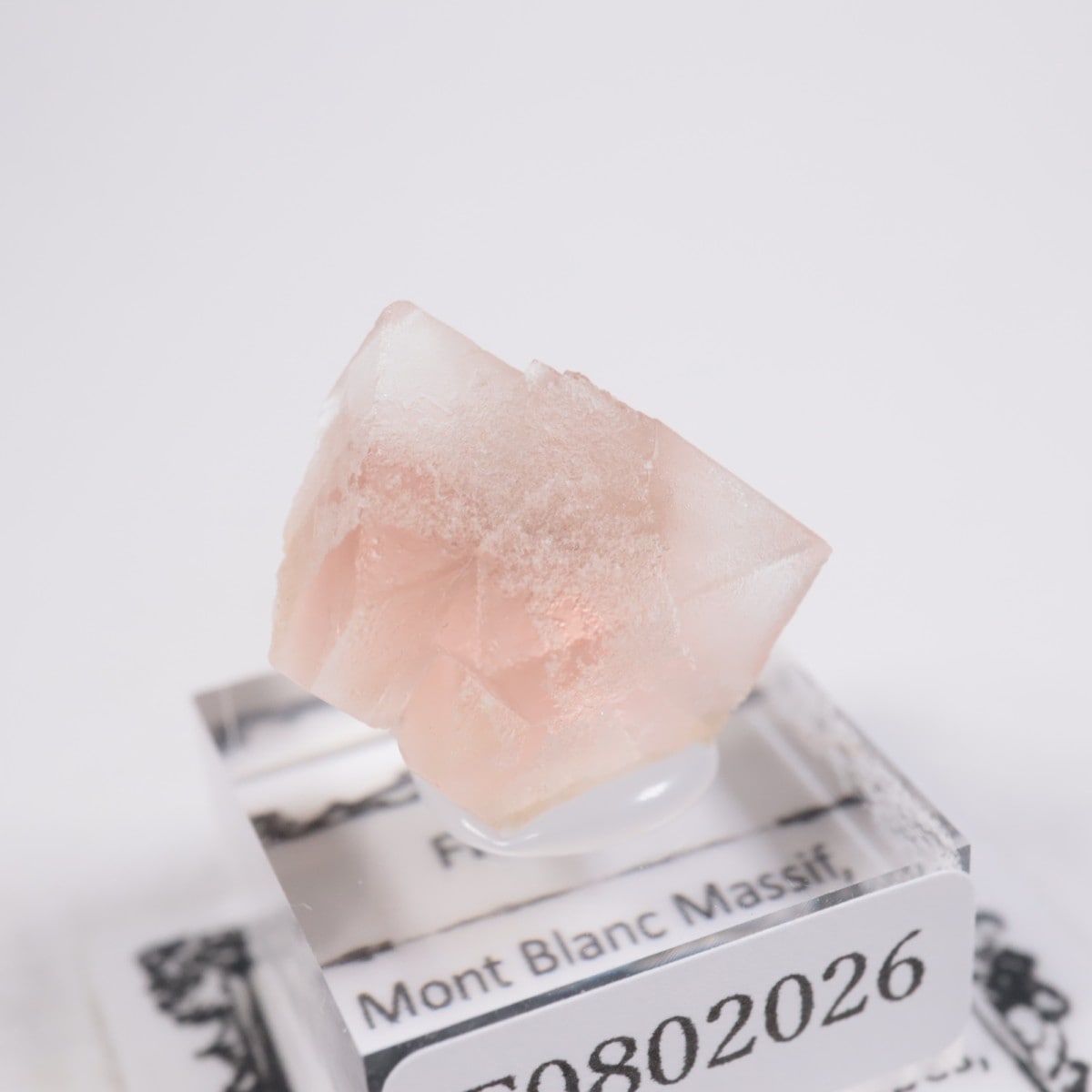 ���֥�� �ե����饤��