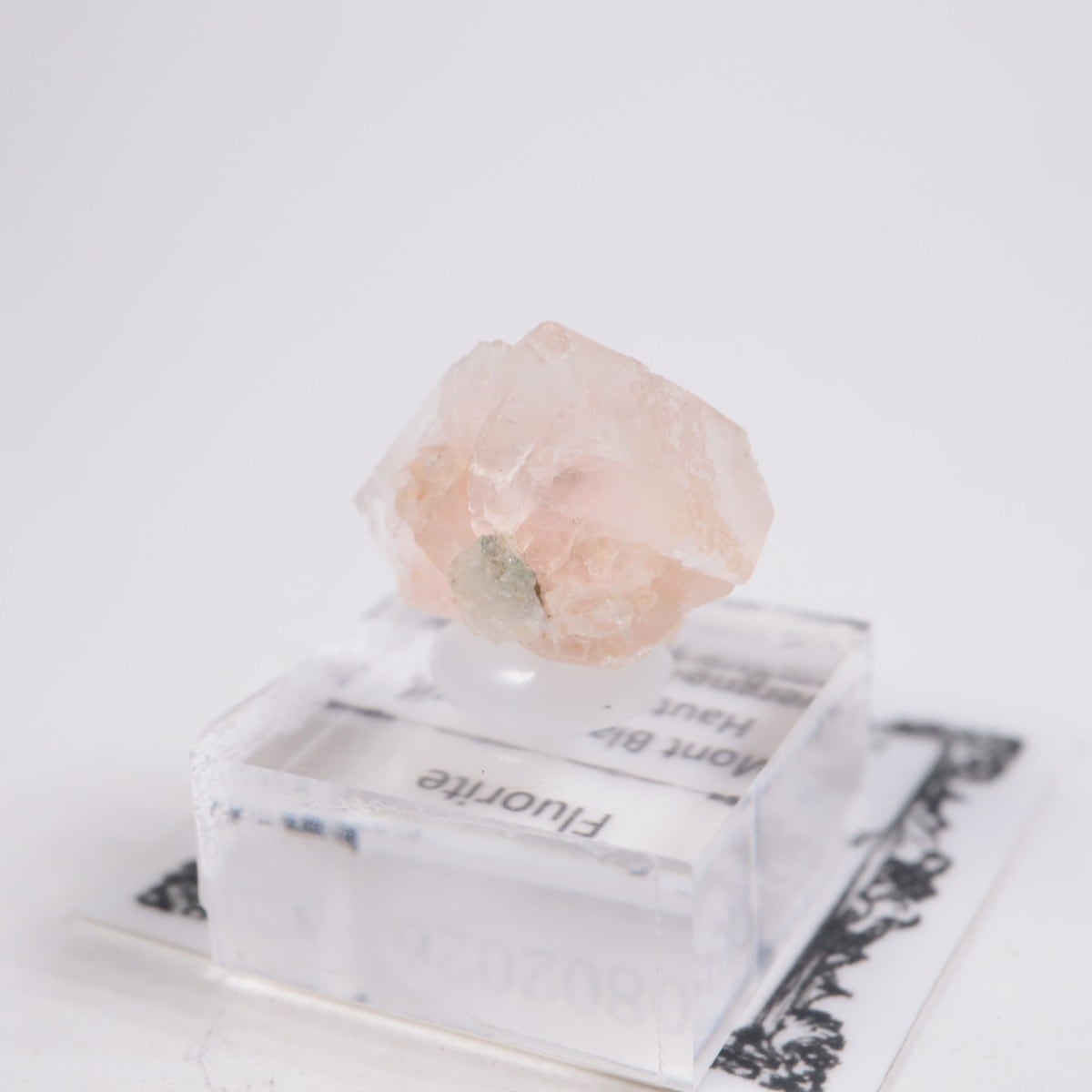 ���֥�� �ե����饤��