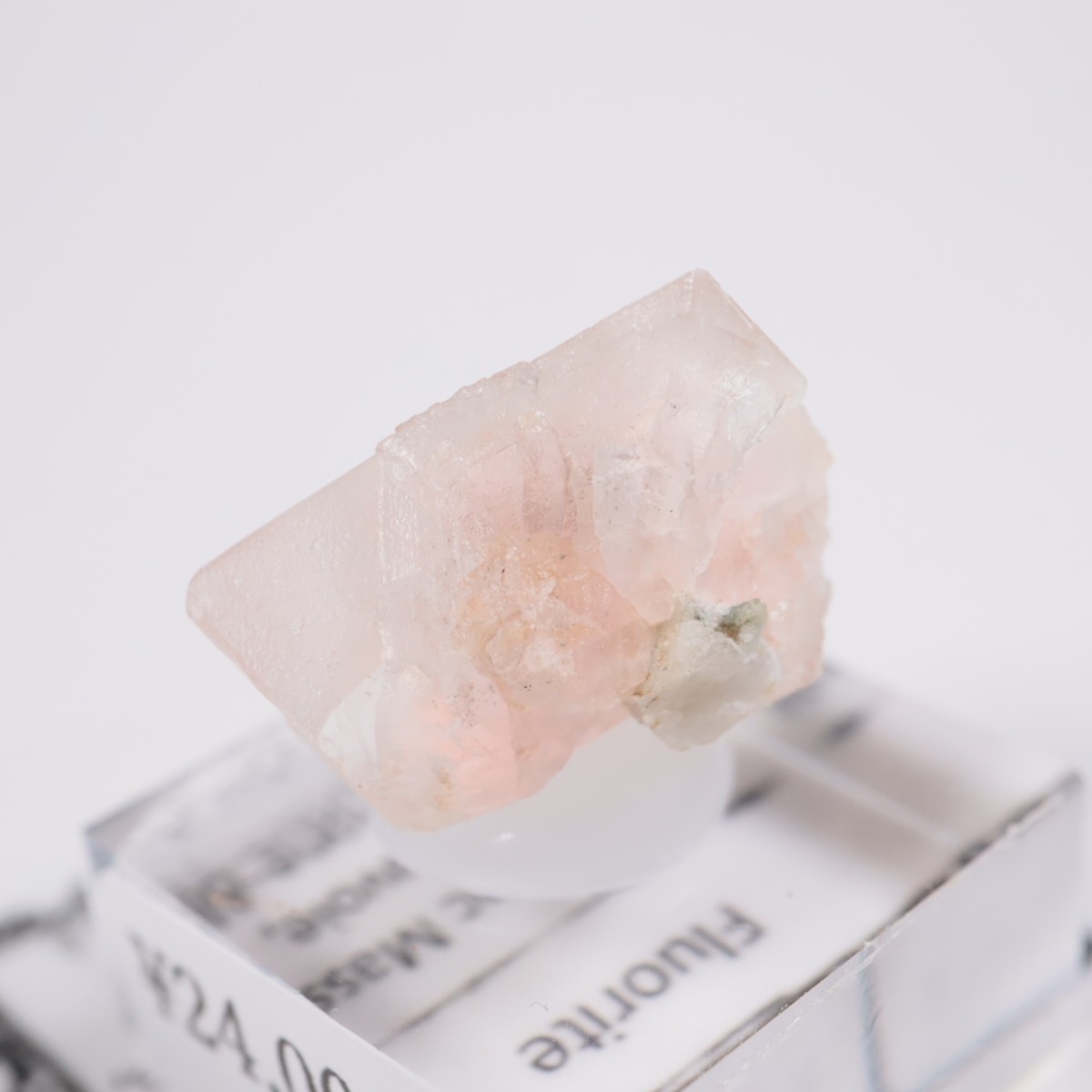 ���֥�� �ե����饤��