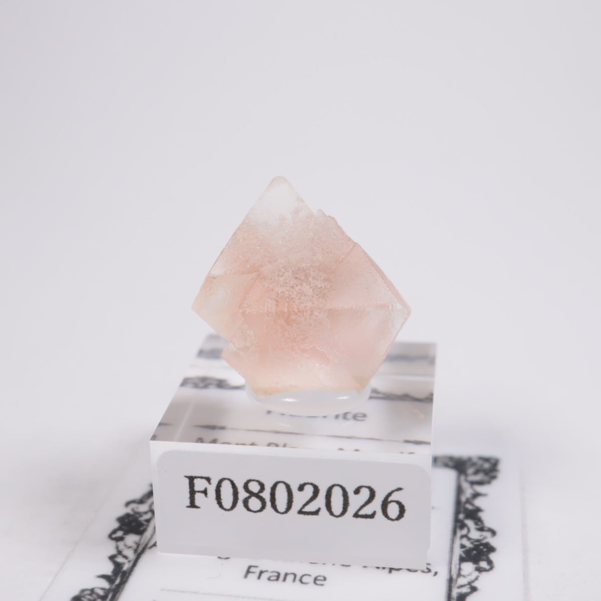 ���֥�� �ե����饤��