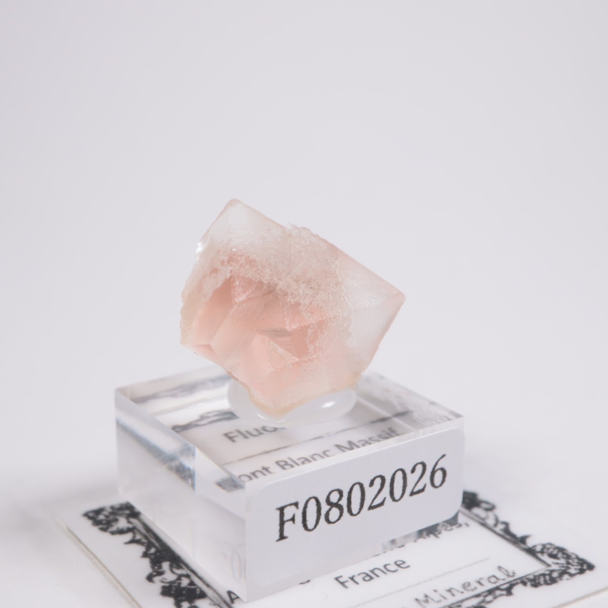 ���֥�� �ե����饤��