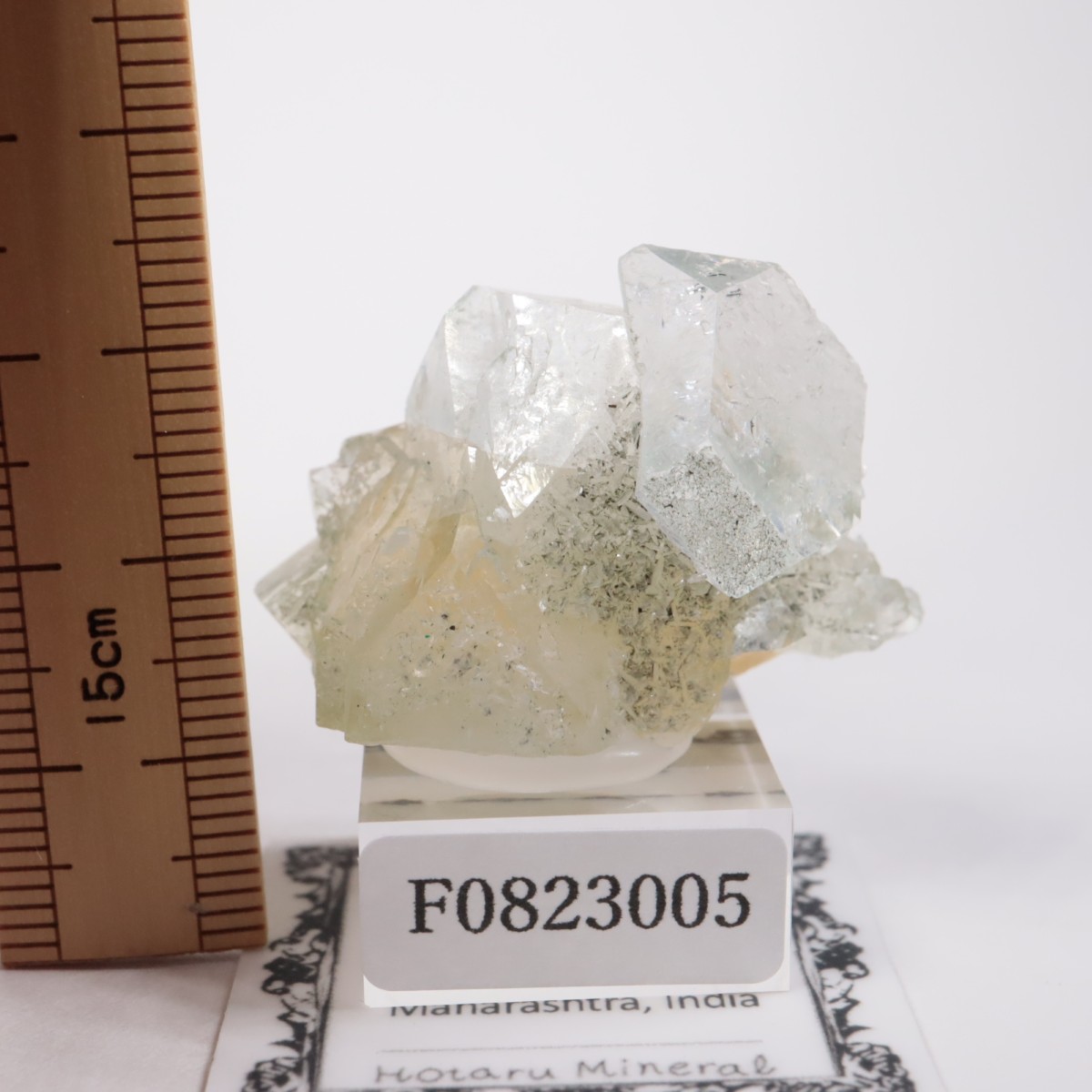 ����ɻ� ���ݥե��饤��