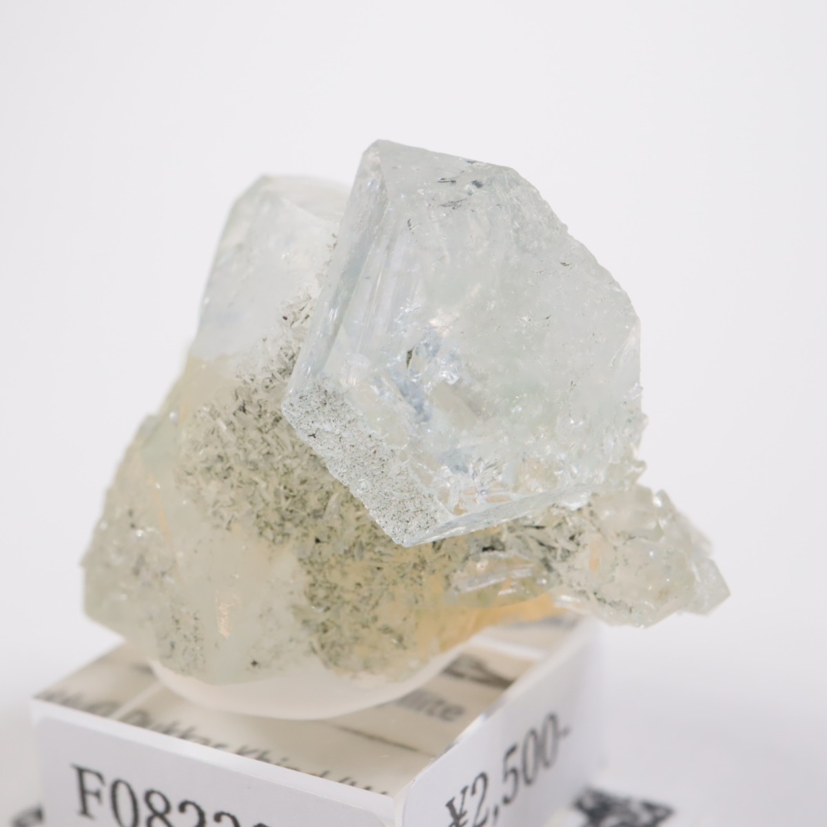 ����ɻ� ���ݥե��饤��