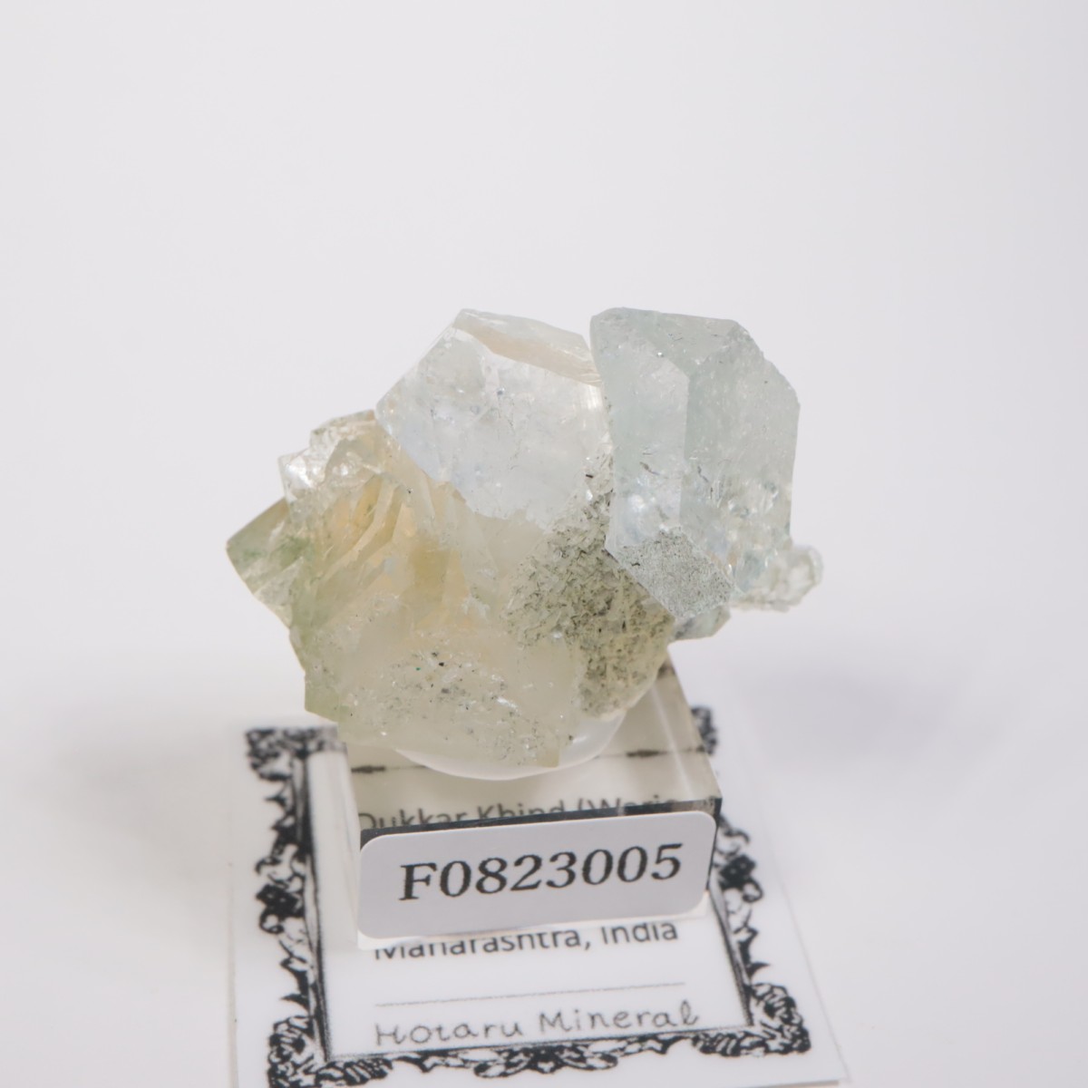 ����ɻ� ���ݥե��饤��