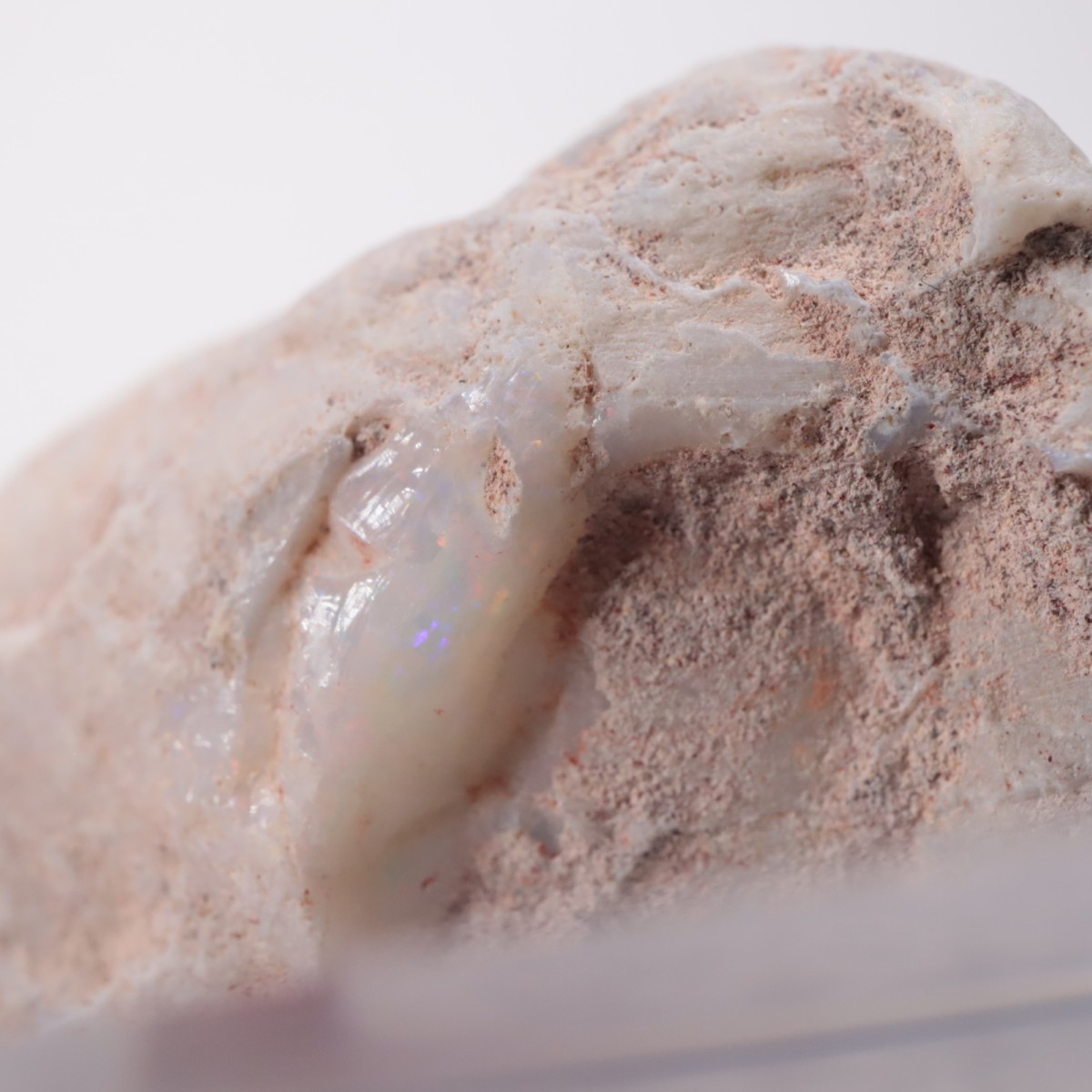 オーストラリア産 シェルオパール | 鉱物標本,ア行,オパール/蛋白石