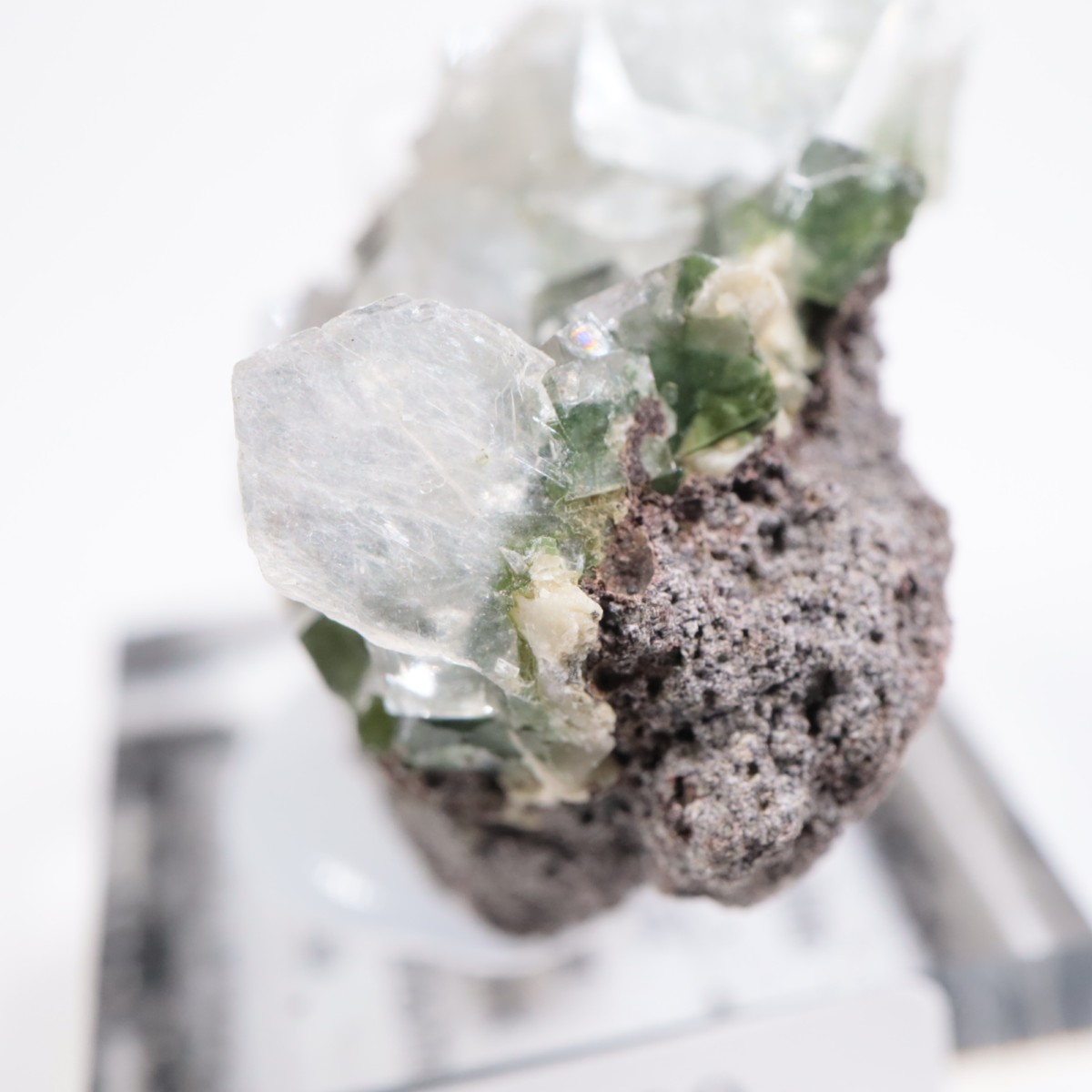 ����ɻ� ���ݥե��饤��