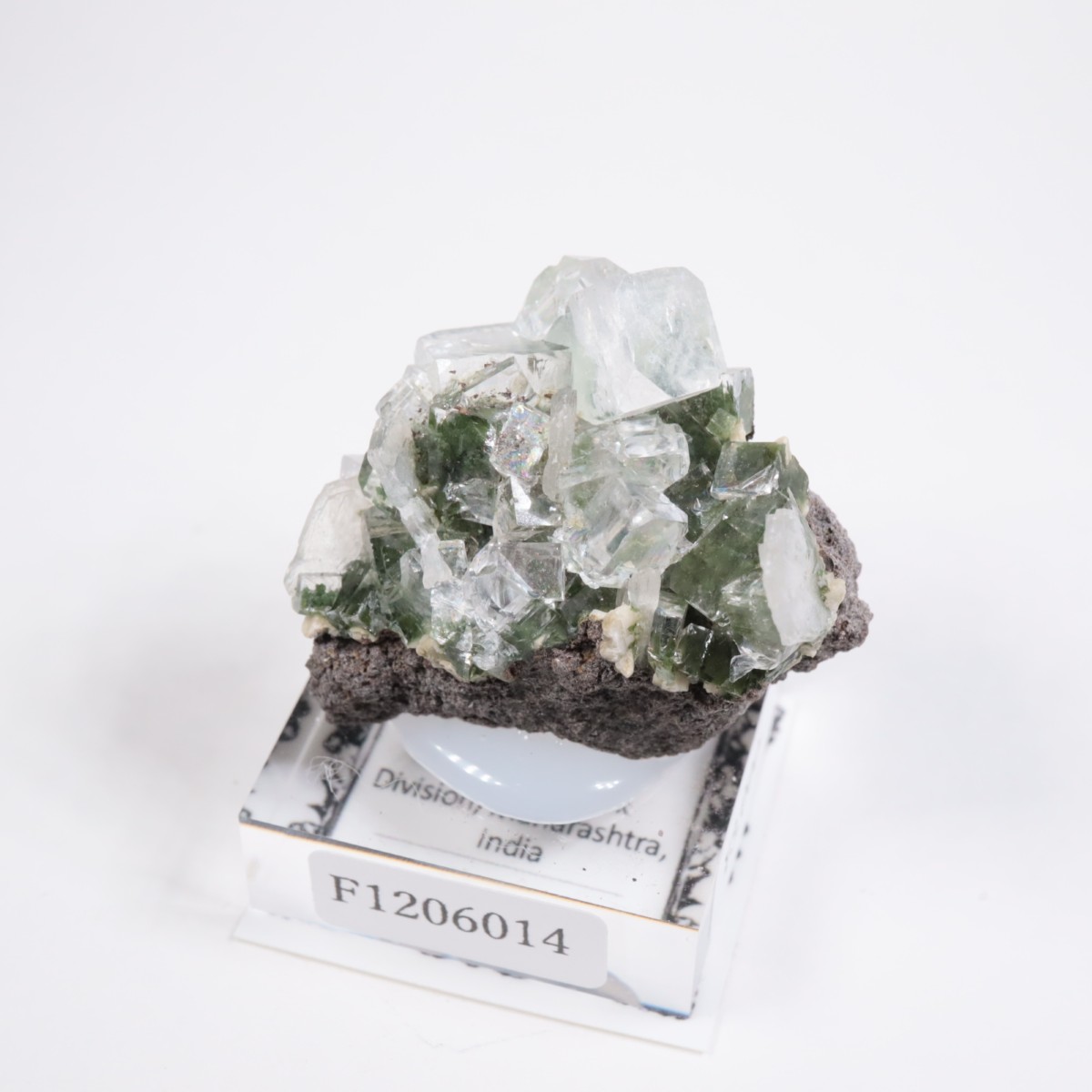 ����ɻ� ���ݥե��饤��