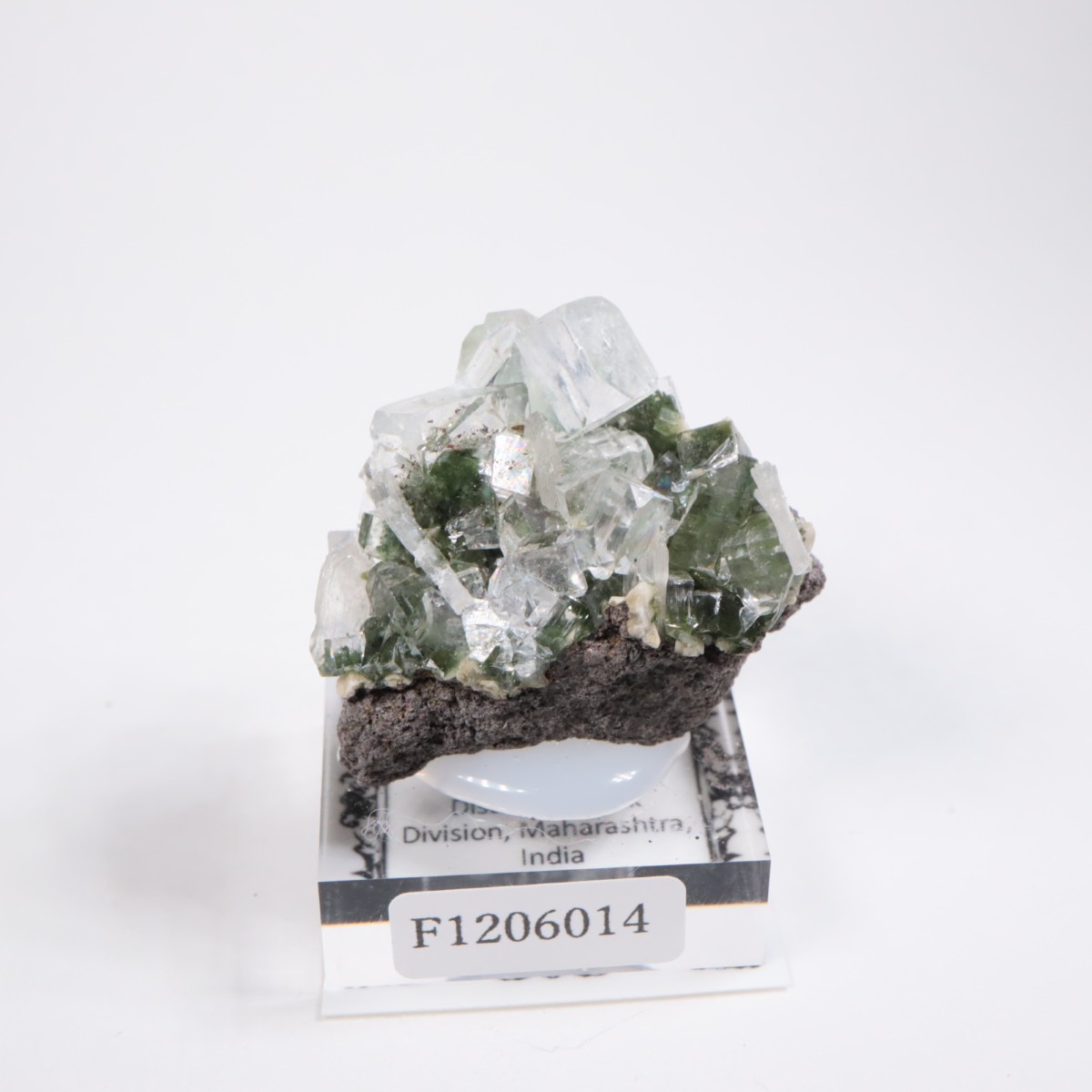 ����ɻ� ���ݥե��饤��