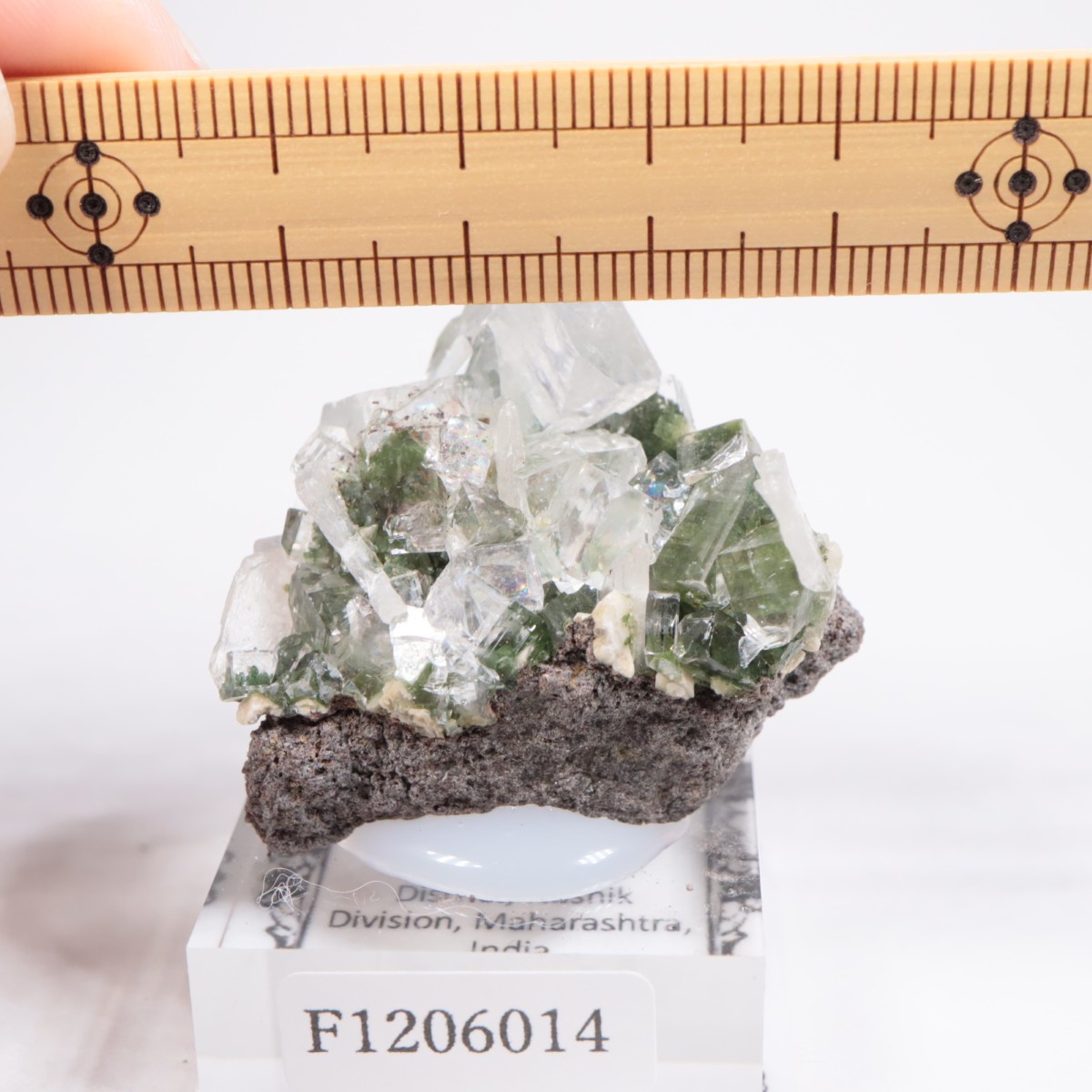 ����ɻ� ���ݥե��饤��