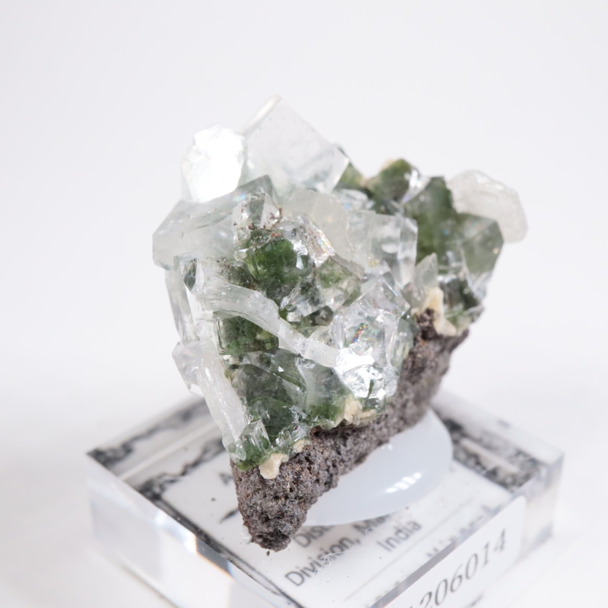 ����ɻ� ���ݥե��饤��