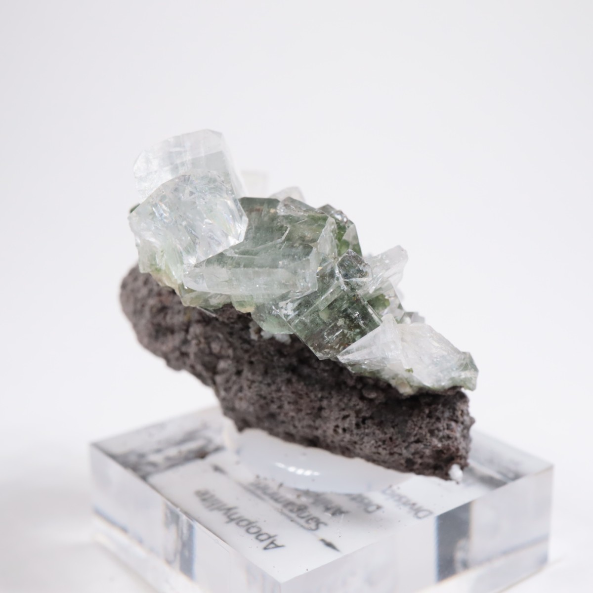 ����ɻ� ���ݥե��饤��