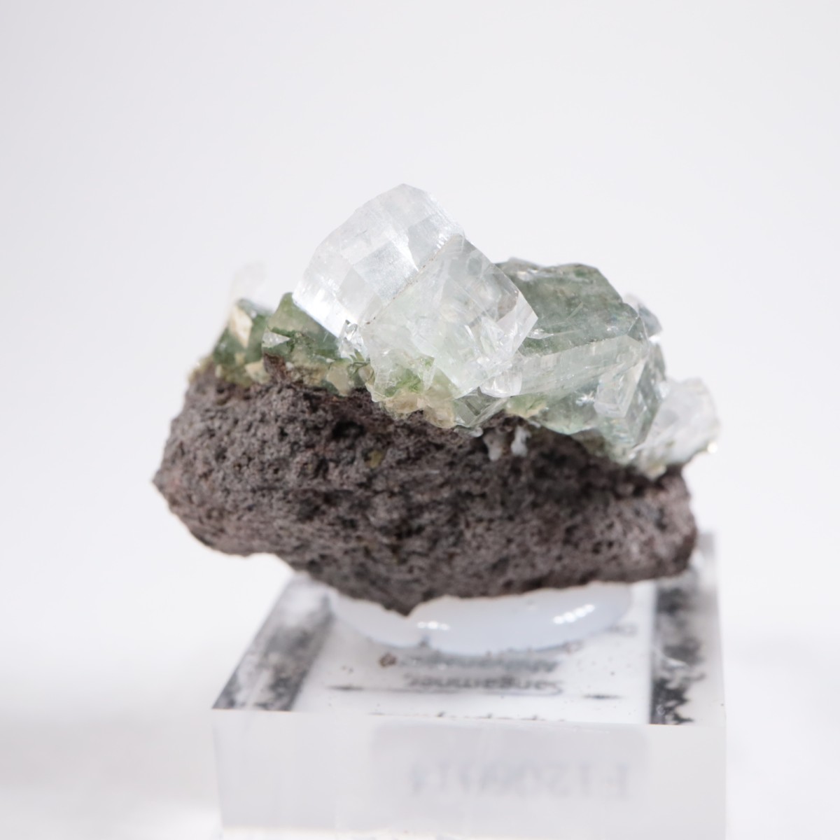 ����ɻ� ���ݥե��饤��