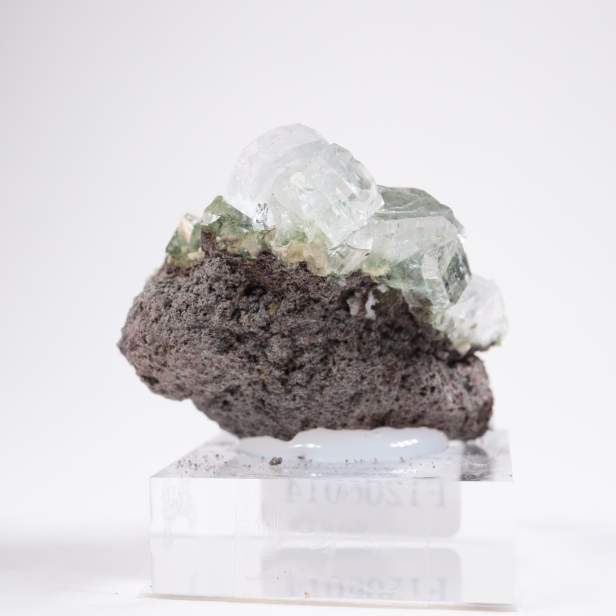 ����ɻ� ���ݥե��饤��