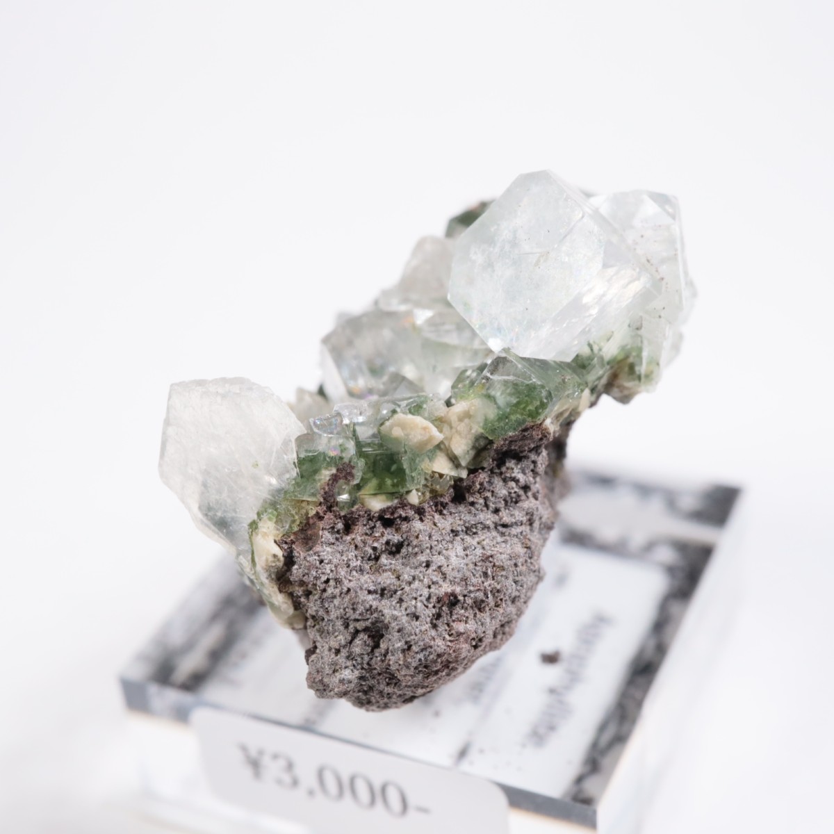 ����ɻ� ���ݥե��饤��