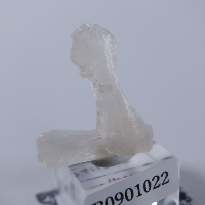 ���ƥ���Х���