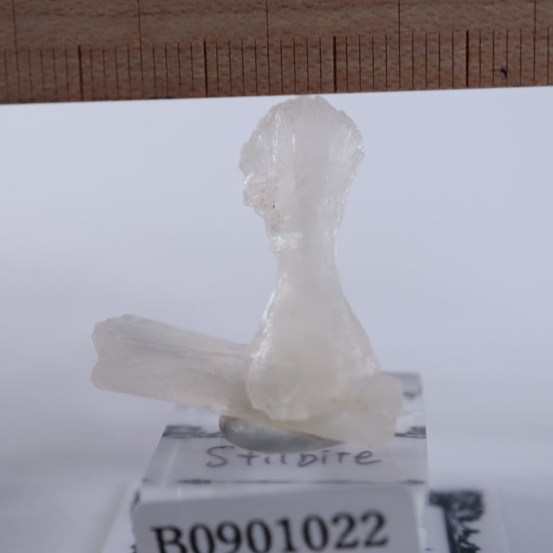 ���ƥ���Х���