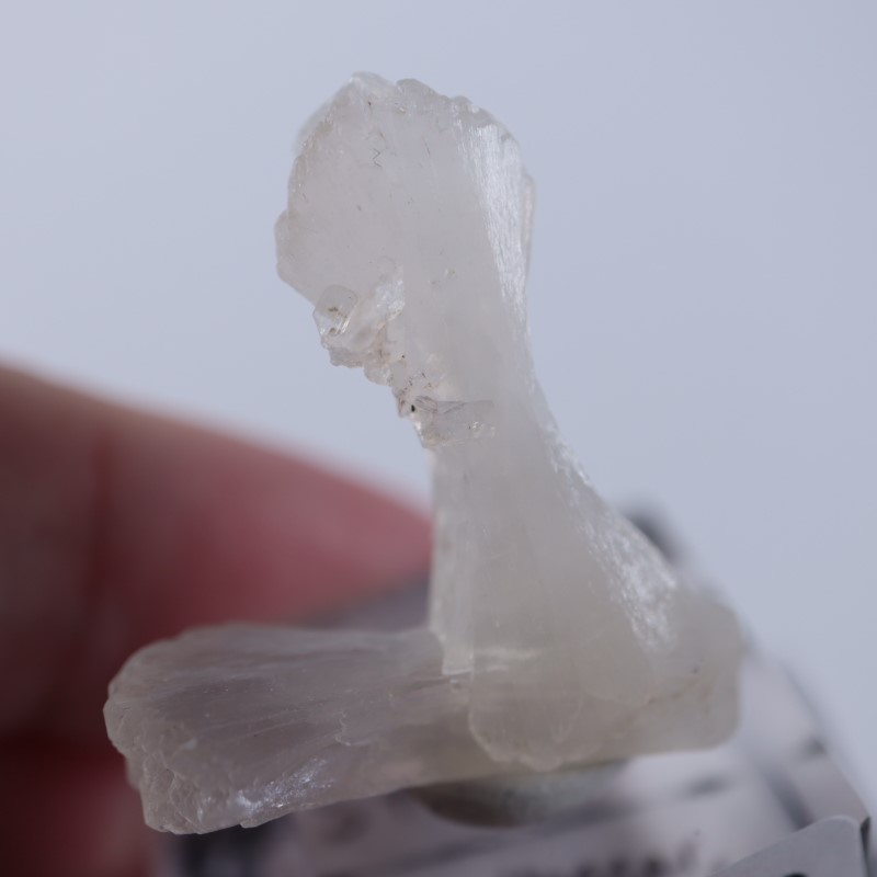 ���ƥ���Х���