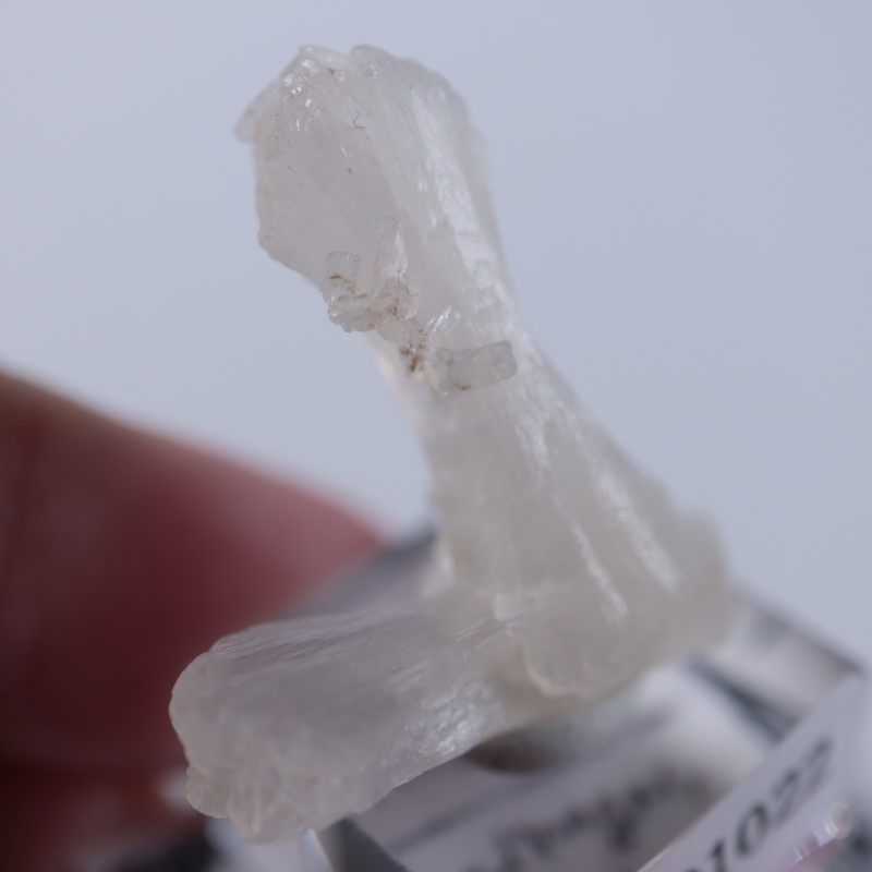 ���ƥ���Х���