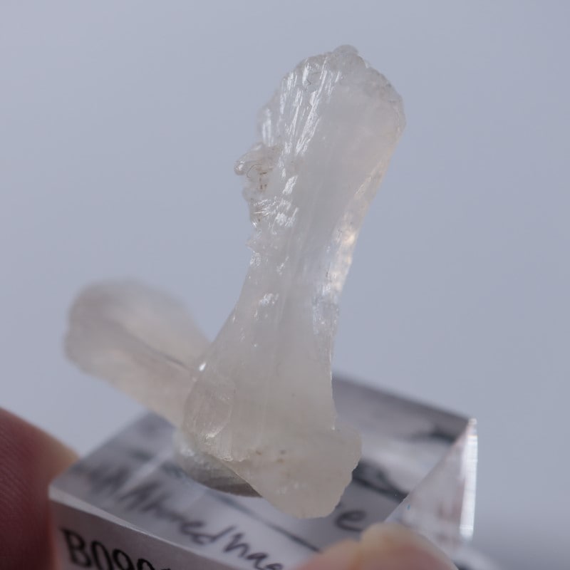 ���ƥ���Х���