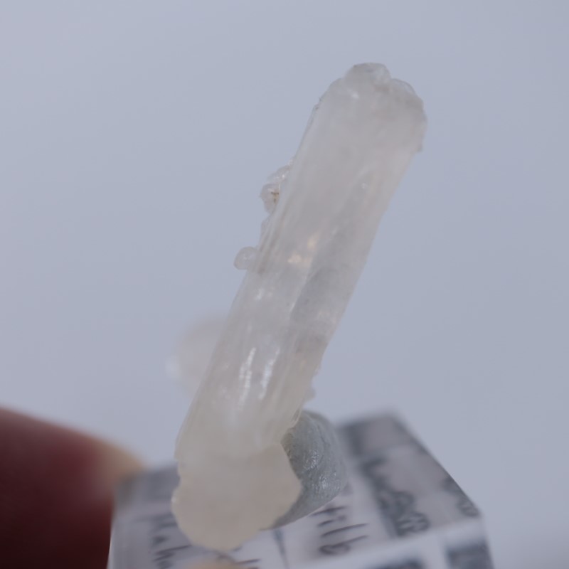 ���ƥ���Х���