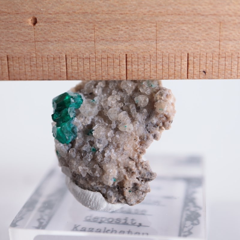 カザフスタン産 ダイオプテーズ | 鉱物標本,タ行,ダイオプテーズ/翠