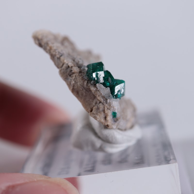 カザフスタン産 ダイオプテーズ | 鉱物標本,タ行,ダイオプテーズ/翠