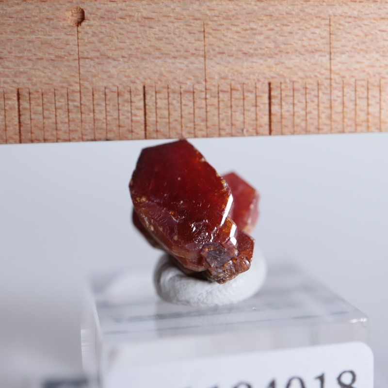 ����å������Хʥǥ��ʥ���