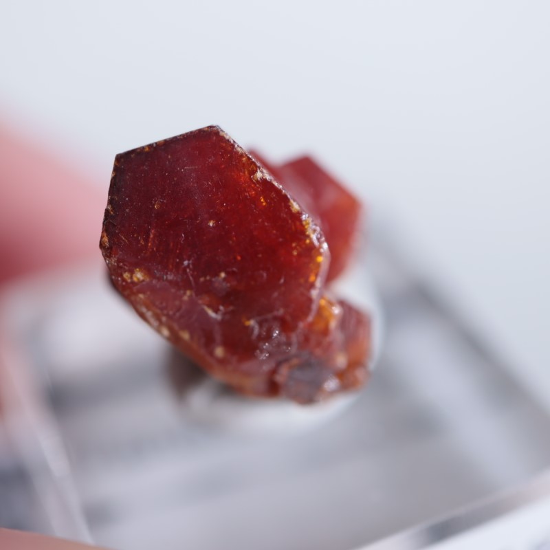 ����å������Хʥǥ��ʥ���