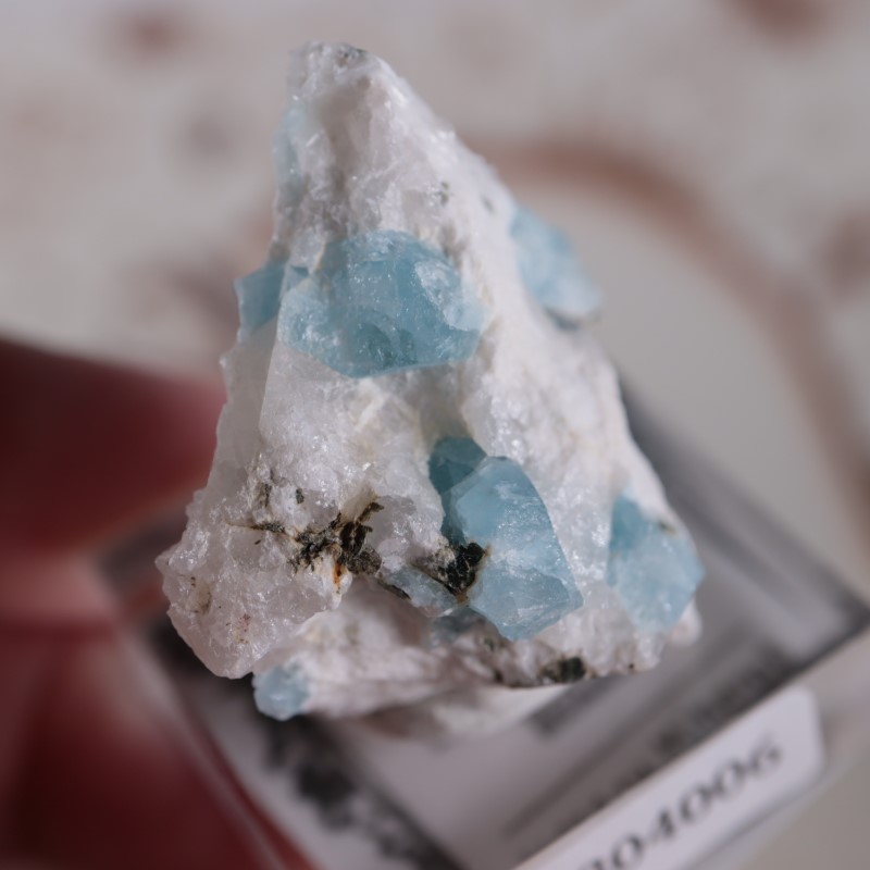 �ᥭ���������������ޥ��