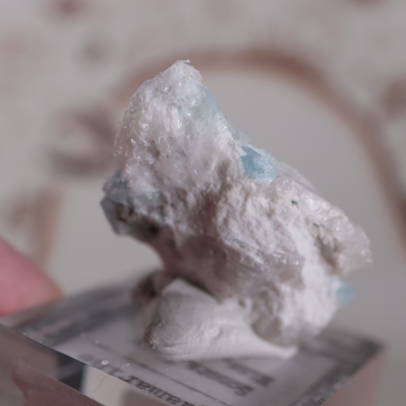 �ᥭ���������������ޥ��