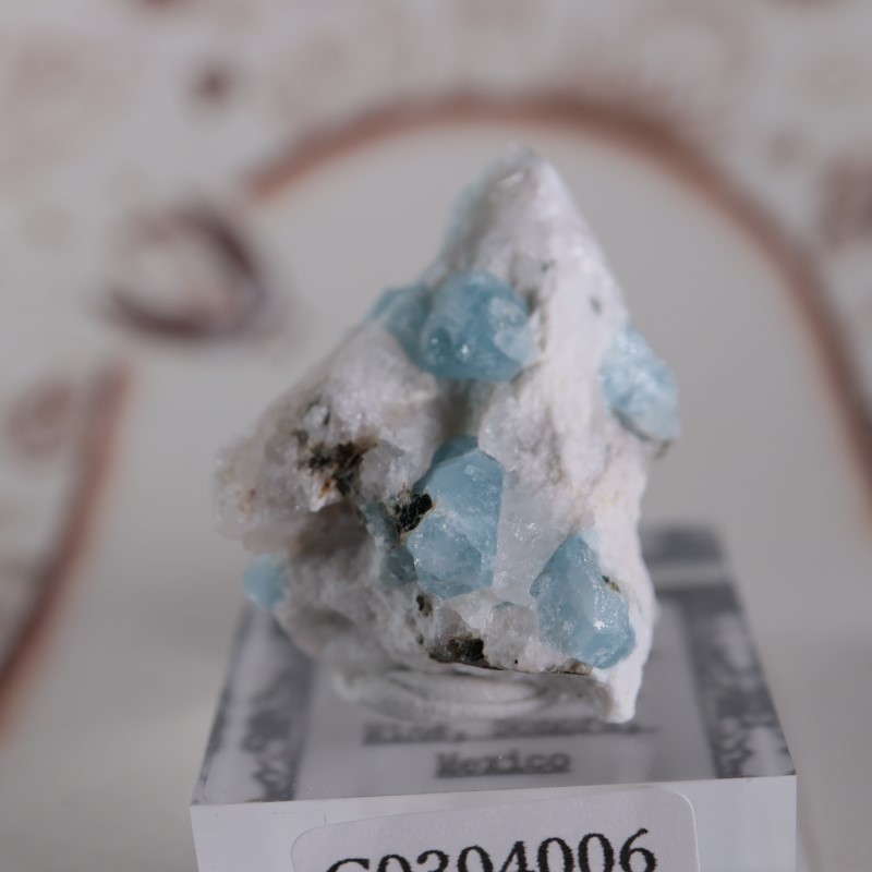 �ᥭ���������������ޥ��