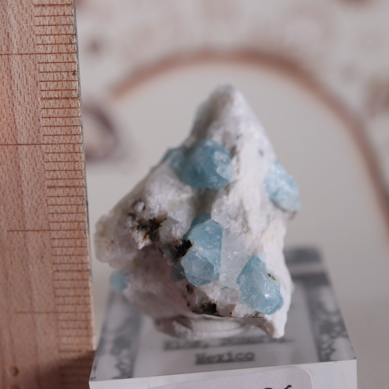 �ᥭ���������������ޥ��