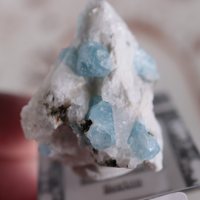 �ᥭ���������������ޥ��