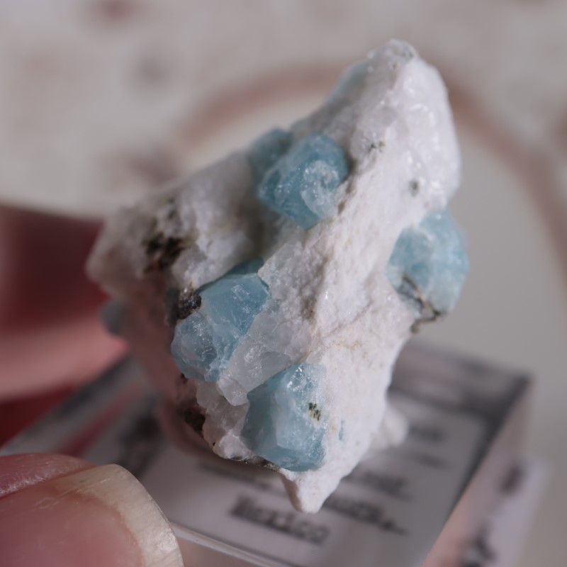 �ᥭ���������������ޥ��