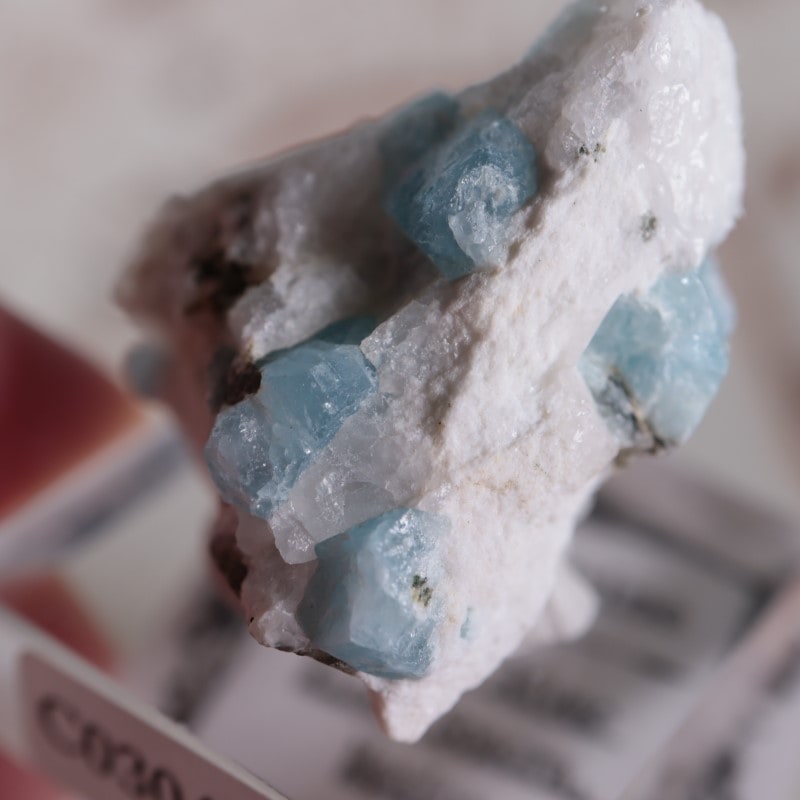 �ᥭ���������������ޥ��