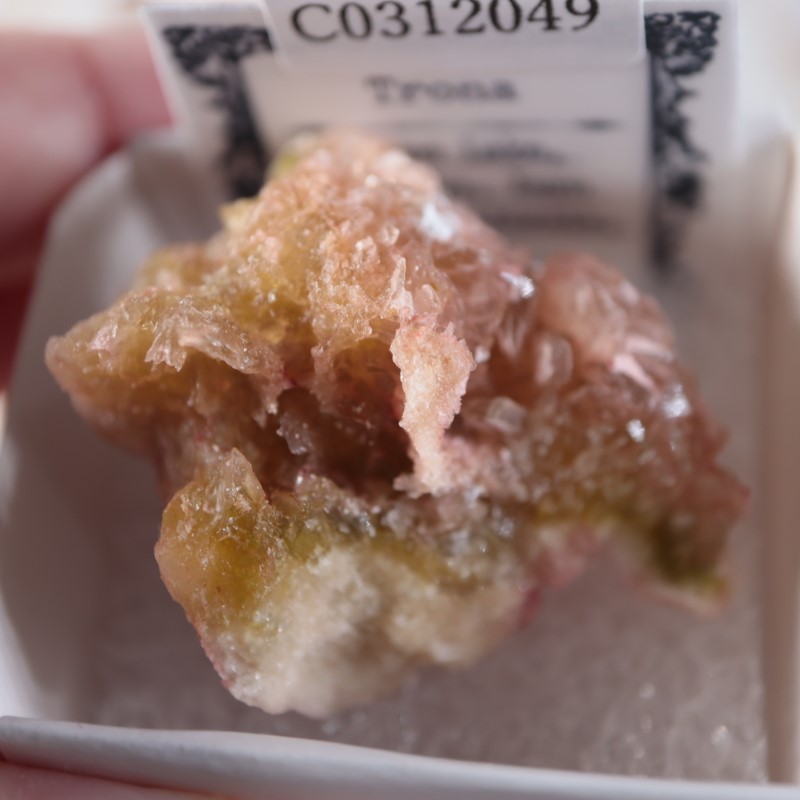 ����ե���˥������ȥ�����