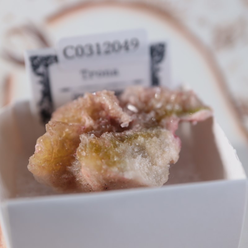 ����ե���˥������ȥ�����