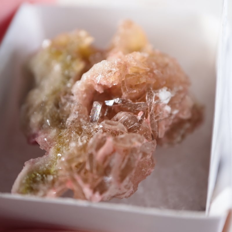 ����ե���˥������ȥ�����