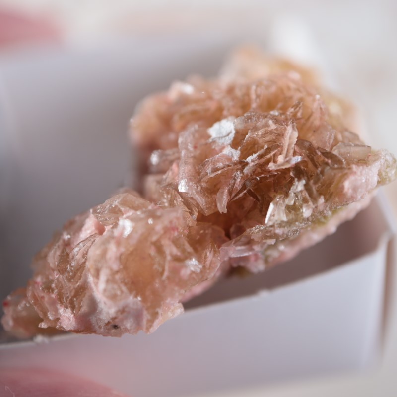 ����ե���˥������ȥ�����