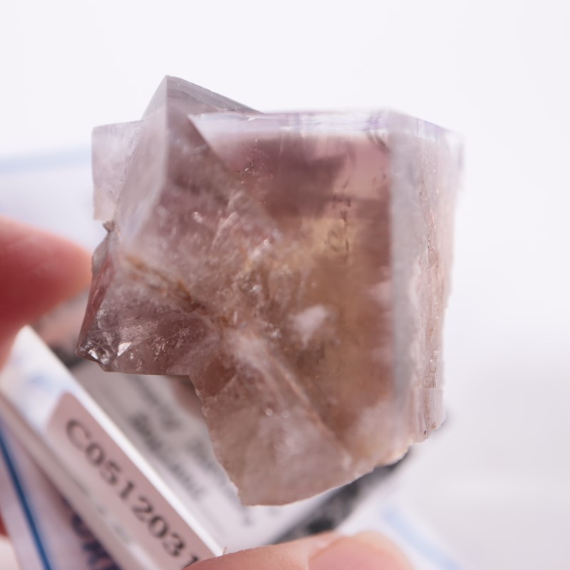 フローライト　sherry twins pocket 9_000000003107.jpg?1678209904