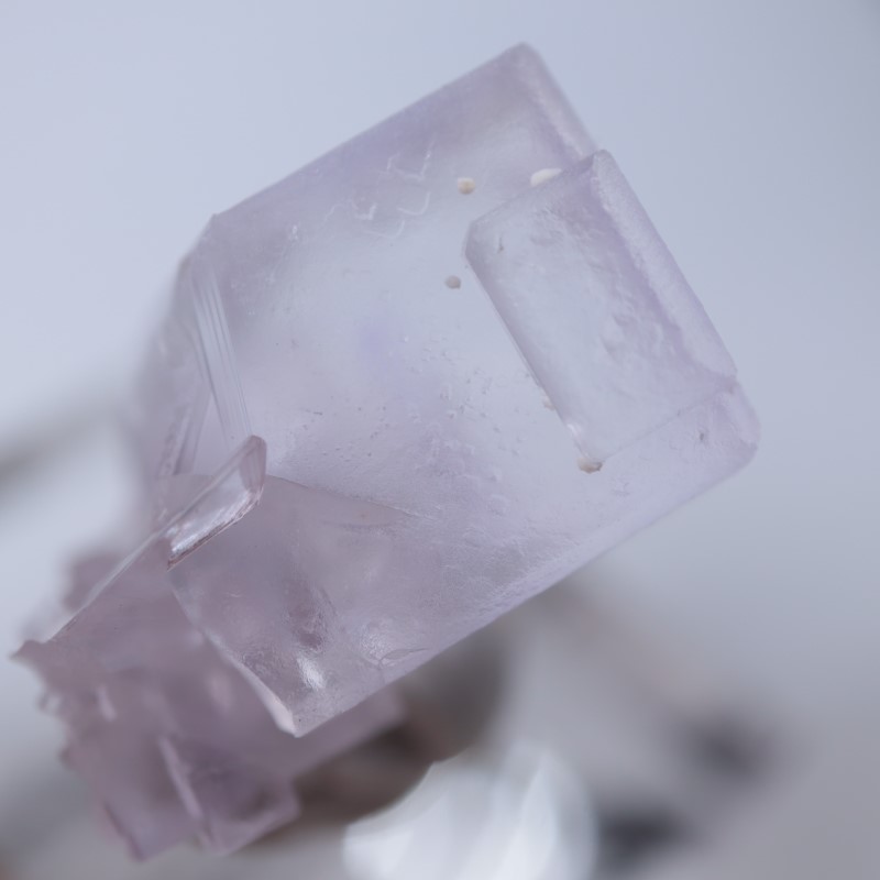 Llamas�����ե����饤��