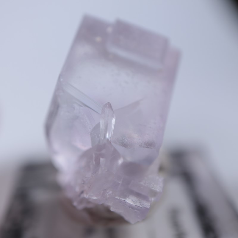 Llamas�����ե����饤��