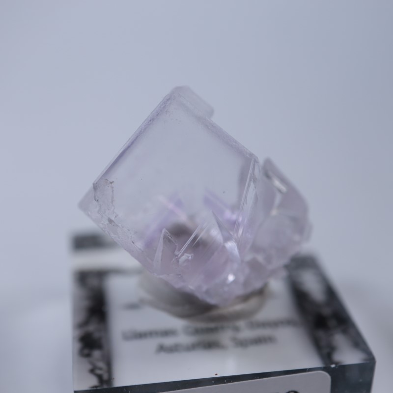 Llamas�����ե����饤��