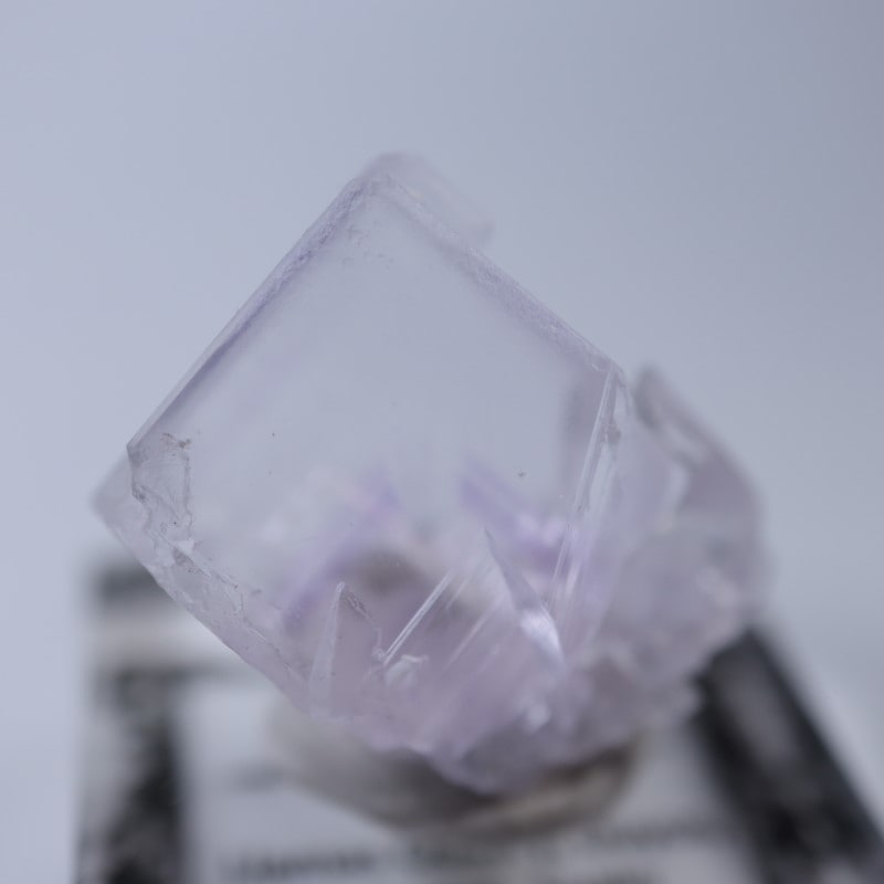 Llamas�����ե����饤��