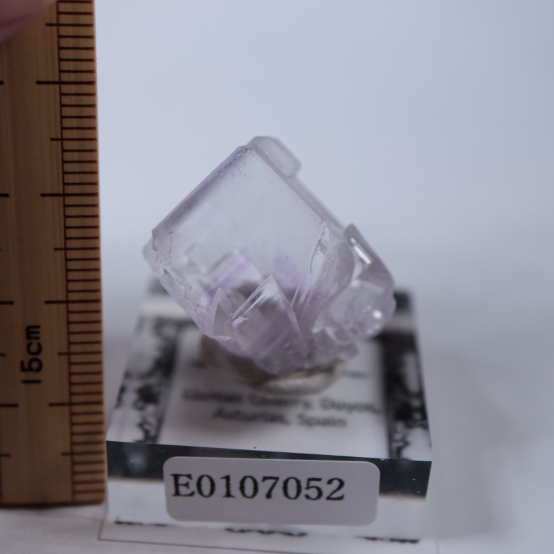 Llamas�����ե����饤��