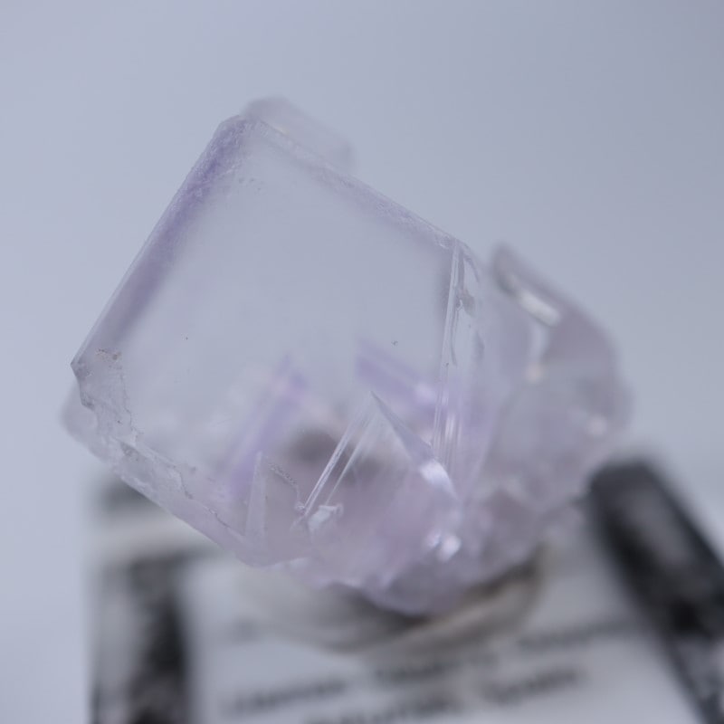 Llamas�����ե����饤��