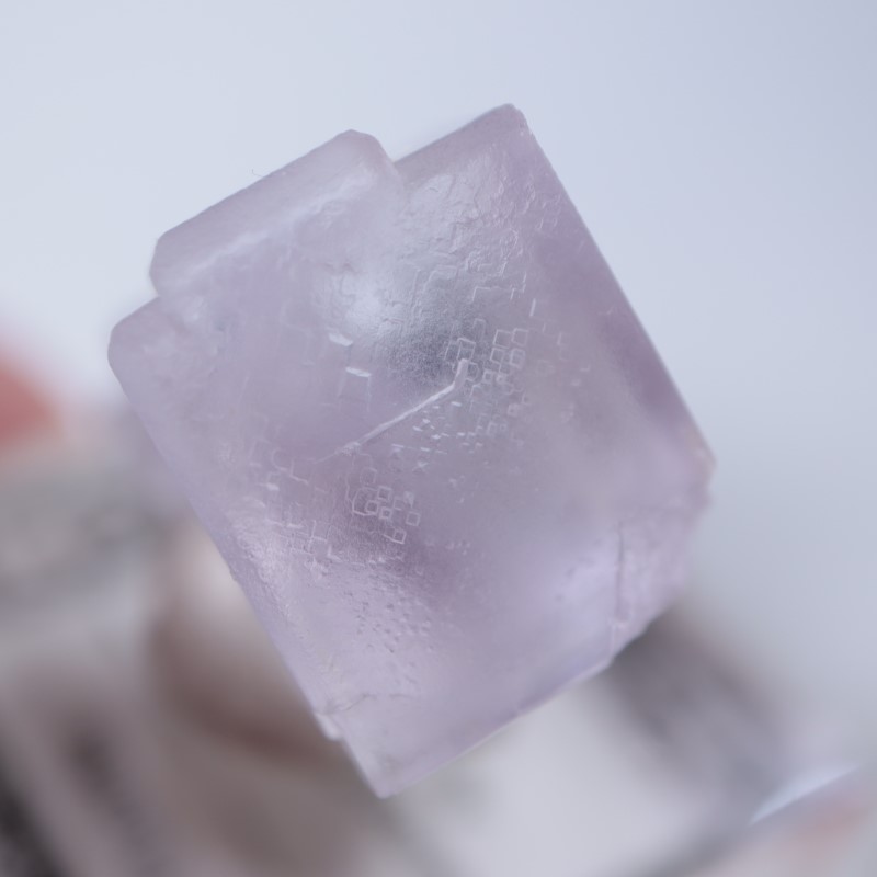 Llamas�����ե����饤��