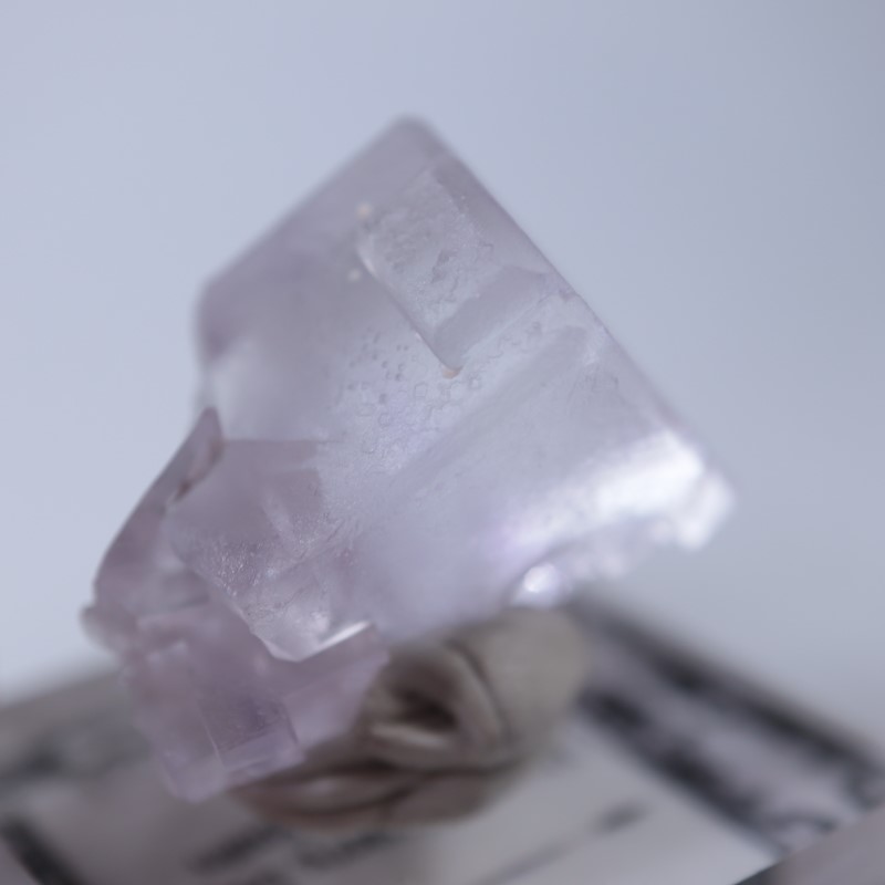 Llamas�����ե����饤��