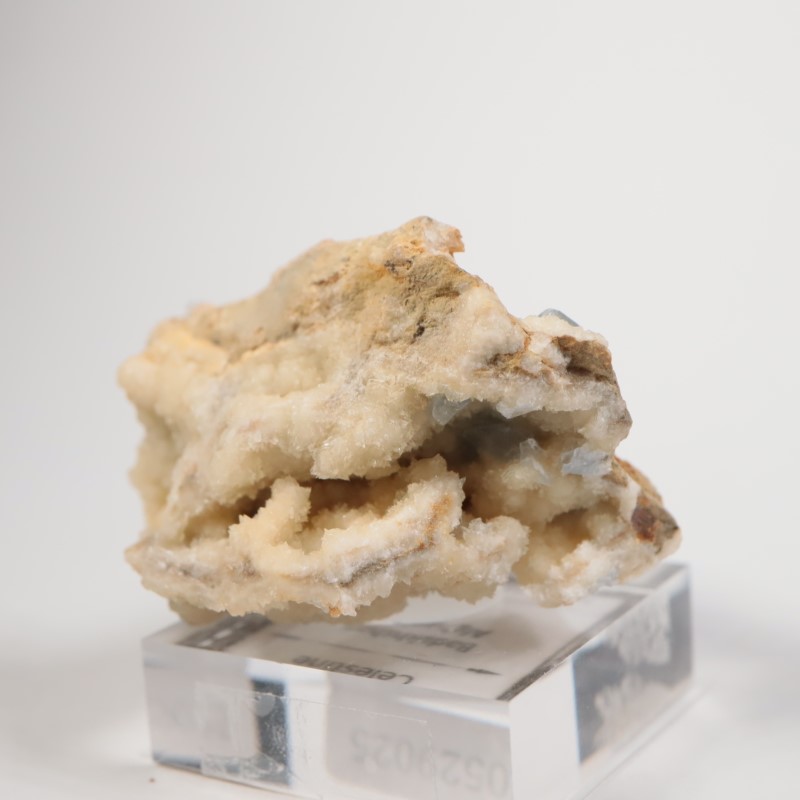 ���ե��˥�����ŷ����