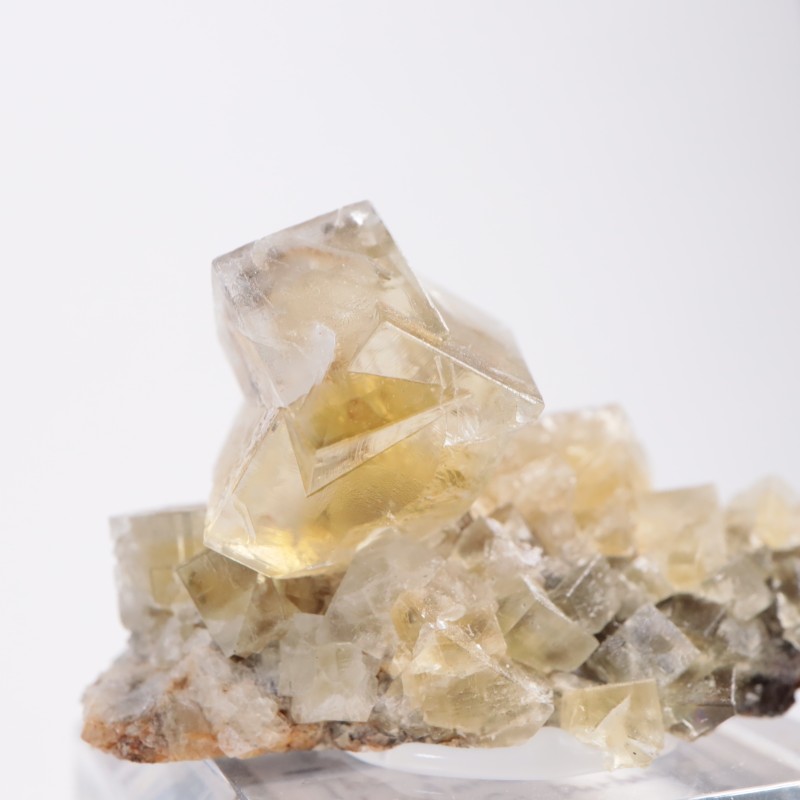 The Bull Vein �ե����饤��